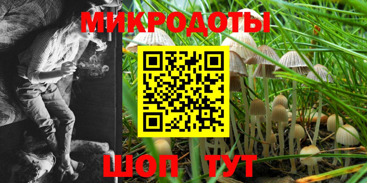 Галлюциногенные грибы Psilocybe  Вход с VPN  Рославль 